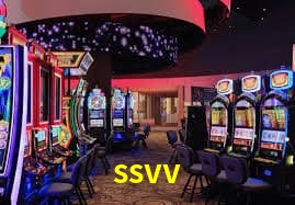 Sistema VIP ssvv